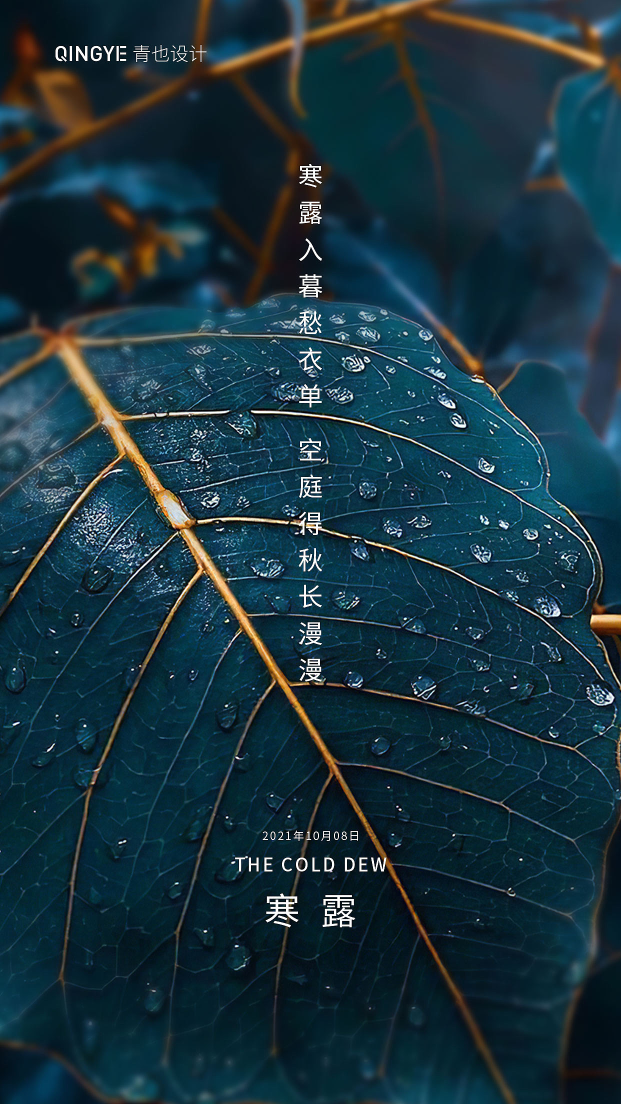 寒露节气海报设计合集（图ZMjcxODk4ODA4） - 海报 - 站酷设计师青也设计原创素材 - 站酷ZCOOL