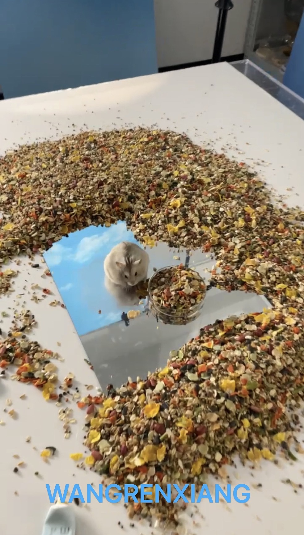 宠物产品摄影  |  H1五谷综合粮详情页升级