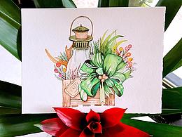 钢笔淡彩+水彩插画练习