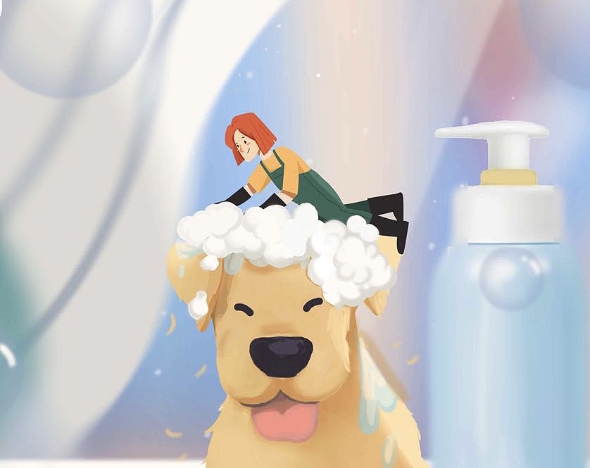 我的狗子 柯基 拉布拉多