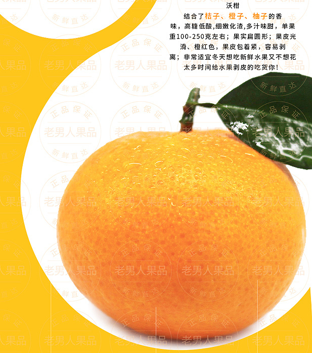 沃柑详情页（图ZMTAyNzgxODI0） - 宣传物料 - 站酷设计师邱公城原创素材 - 站酷ZCOOL