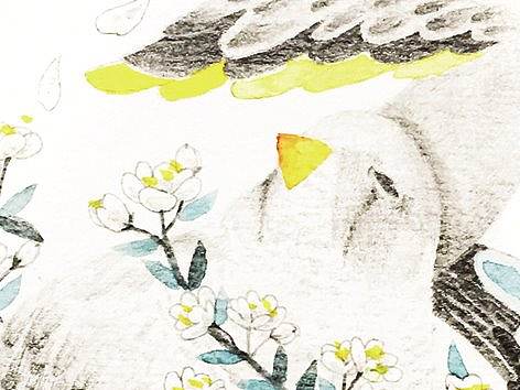 秘密花园花茶海报设计