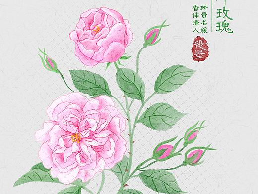植物系列