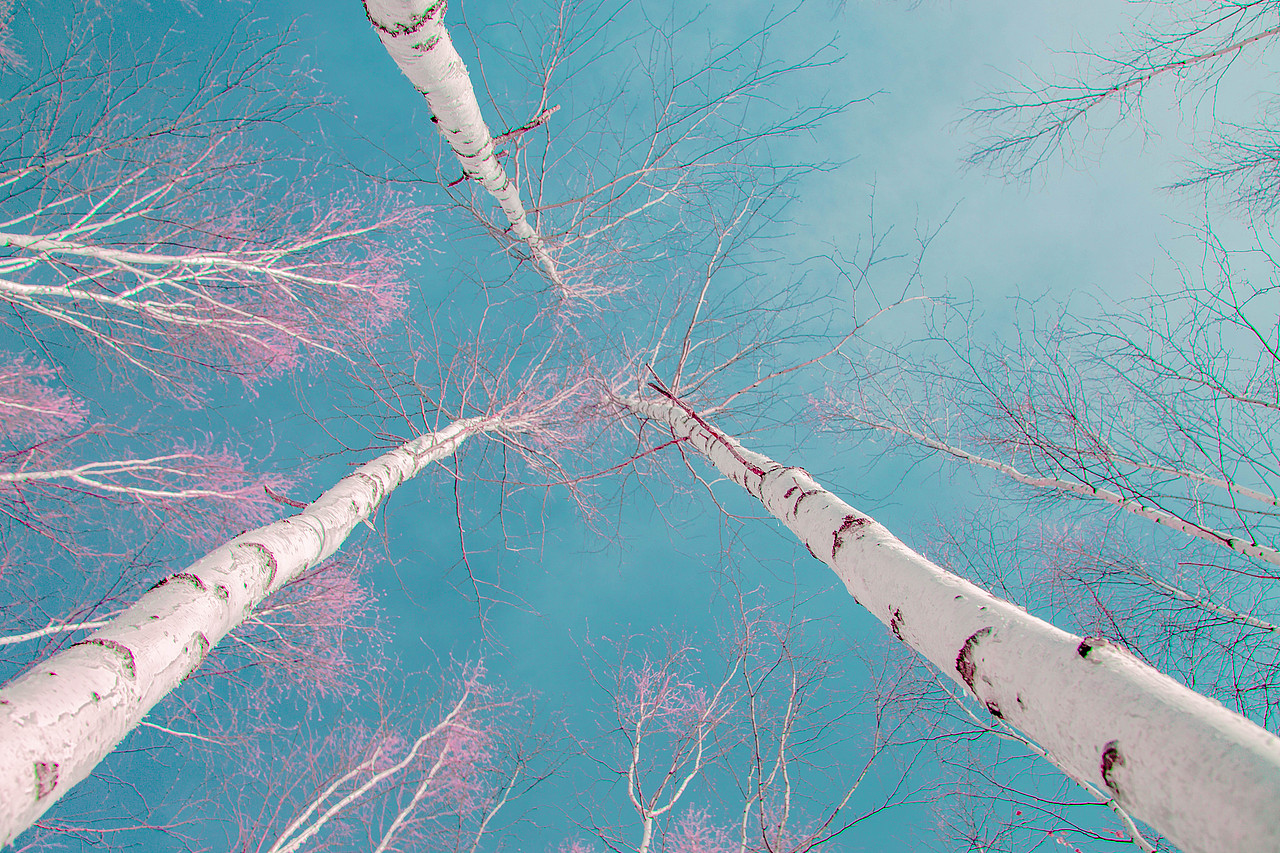 小赵粉红的调色集