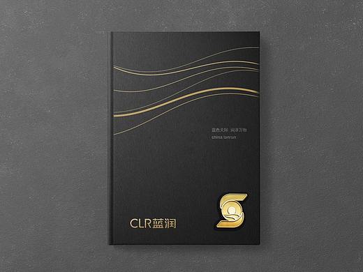 藍潤集團金融形象（個人主頁-ZMjg3NDUzMTY=） - 品牌 - 站酷設計師原力品牌管理原創(chuàng)素材 - 站酷ZCOOL