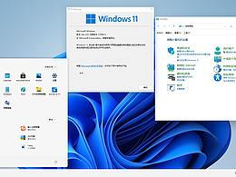 cn_windows_11_pro_21996.1_x64_210618专业版99%中文汉化版