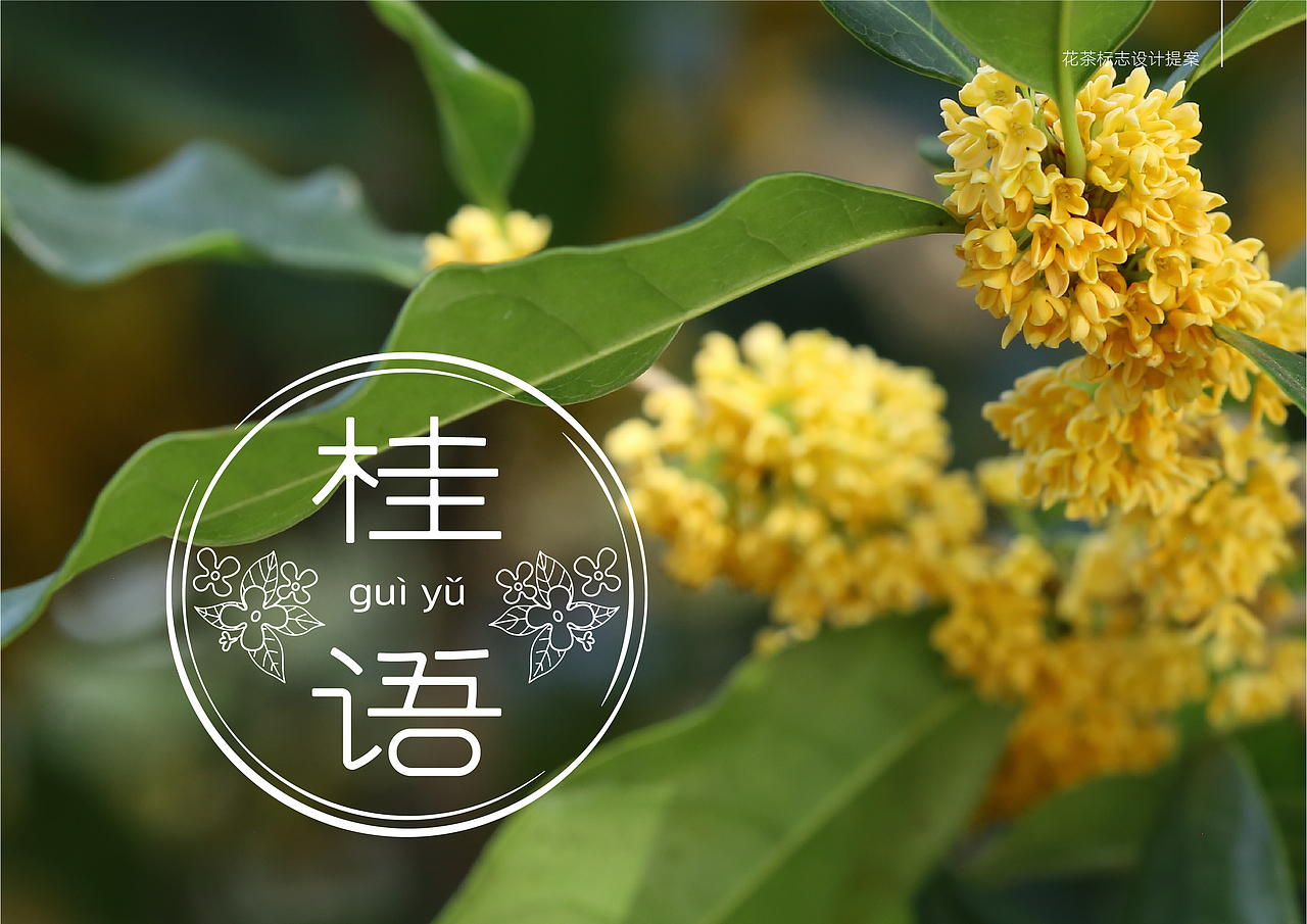 一款花茶的包装小标（图ZMjAzNzI2NDE2） - Logo - 站酷设计师由之是桶哥啊原创素材 - 站酷ZCOOL