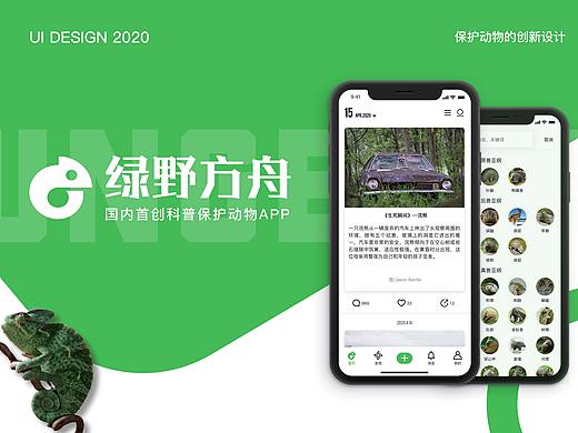绿野仙踪-野生动物保护app-UI