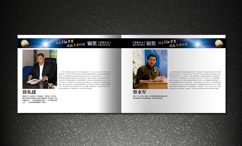 团省委 江苏青年创业奖 金银铜奖获奖名录 画册 灰机稿（图ZMjk3MjI0MA==） - 其他平面 - 站酷设计师icanfay原创素材 - 站酷ZCOOL