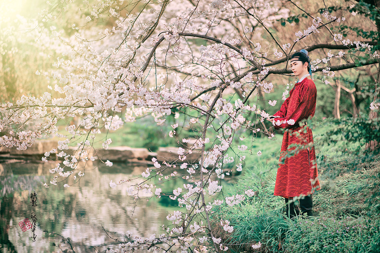 花千骨之落花时节花千骨之千语空梦 自媒体热点