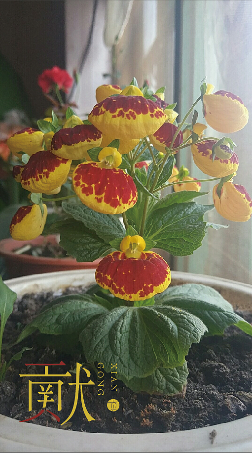 拼音造字的可能性（圖ZMjAzNTc4NTYw） - 字體/字形 - 站酷設(shè)計師YOBOTO原創(chuàng)素材 - 站酷ZCOOL