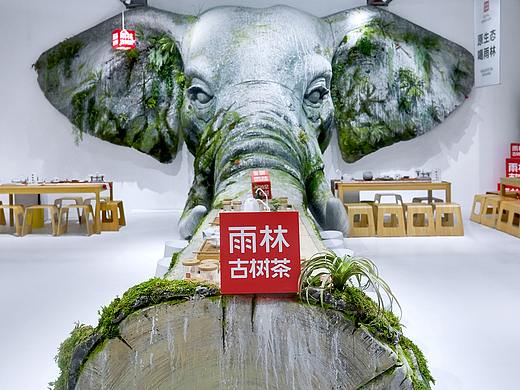 把原始雨林搬进茶空间——2019 雨林古树茶·生态茶空间