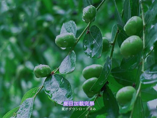 端午记