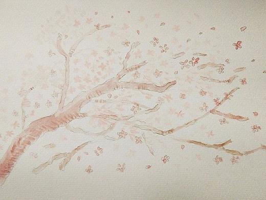 樱花