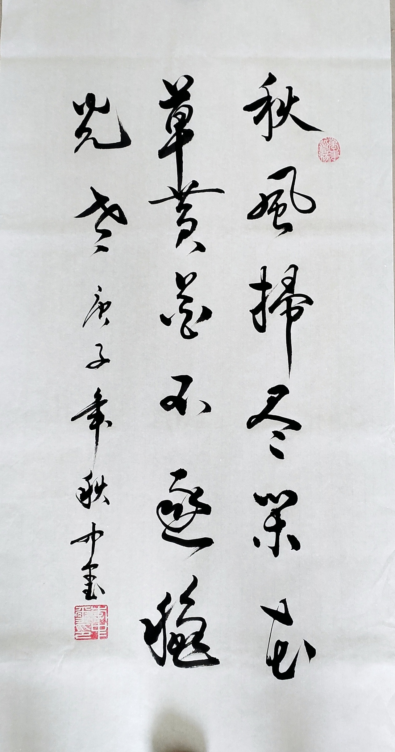 秋风扫尽闲花草