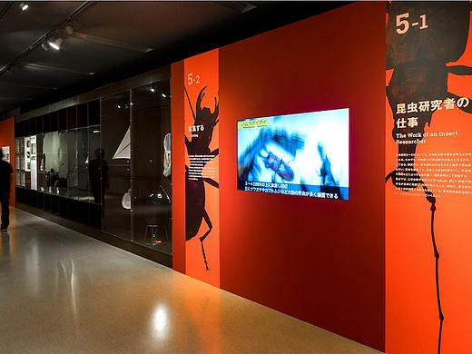 日本国立科学博物館昆虫特別展导视系统设计