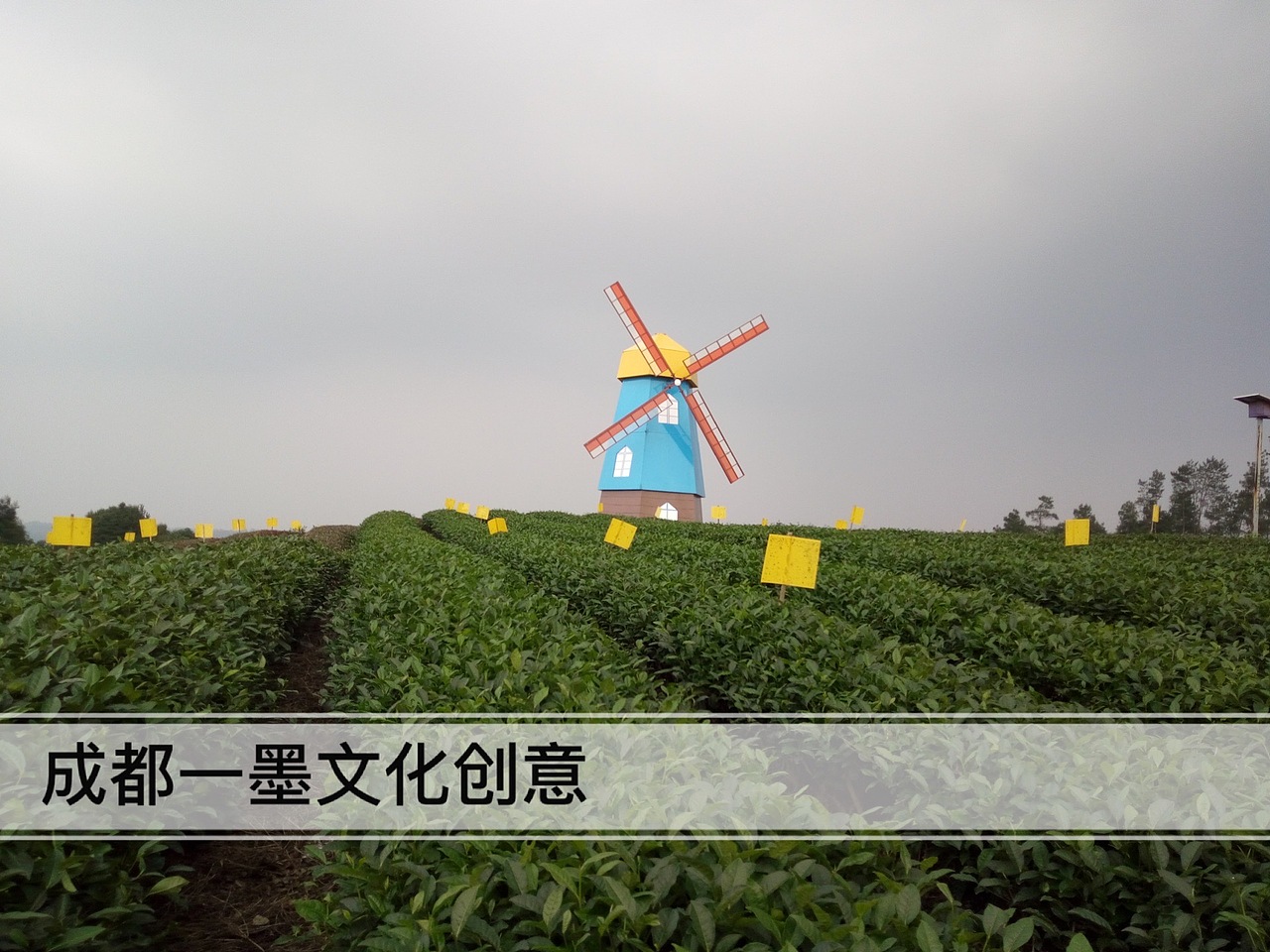 农村壁画