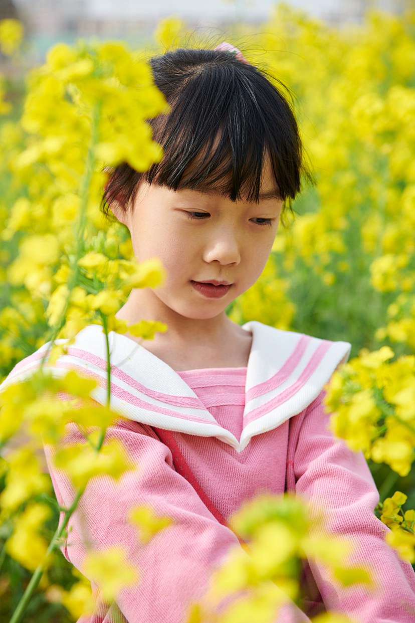 油菜花姑娘