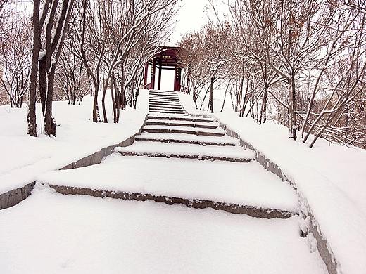红亭子雪地雾凇台阶