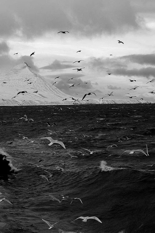 张无忌想要学设计的个人主页（背景预览） - 主页背景设置 - 站酷设计师张无忌想要学设计原创素材 - 站酷ZCOOL