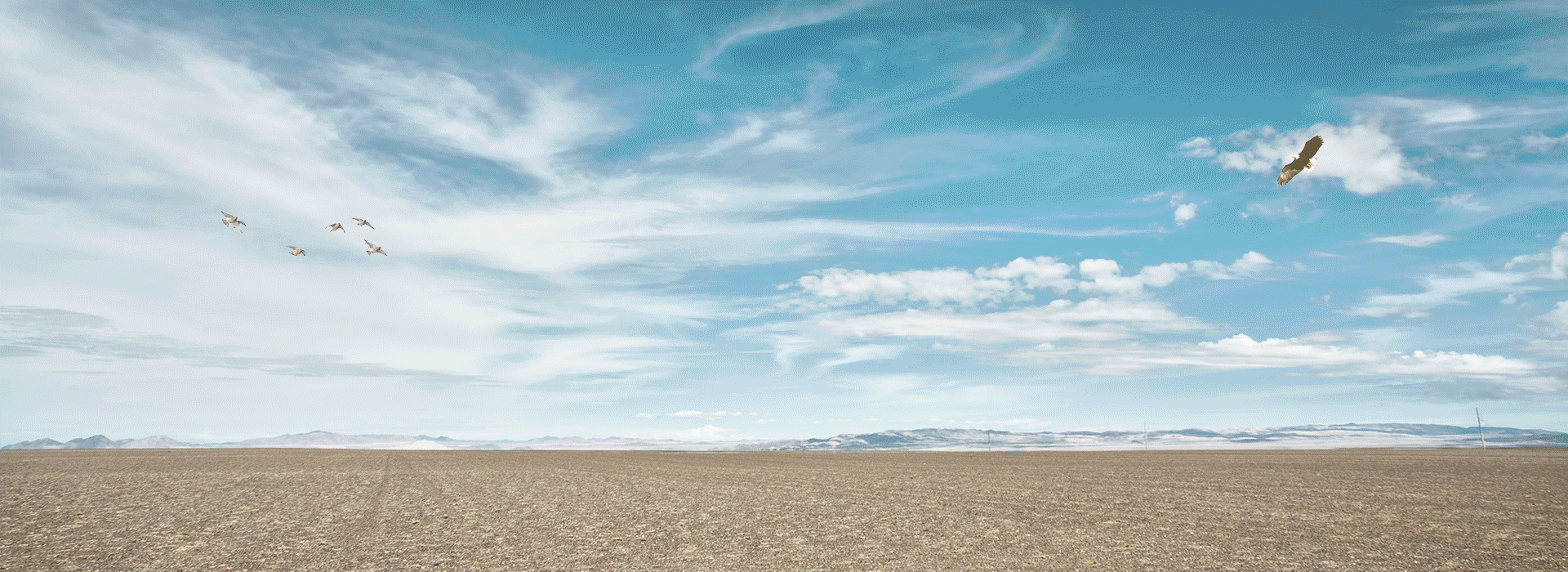 老师都发了,我也发一波