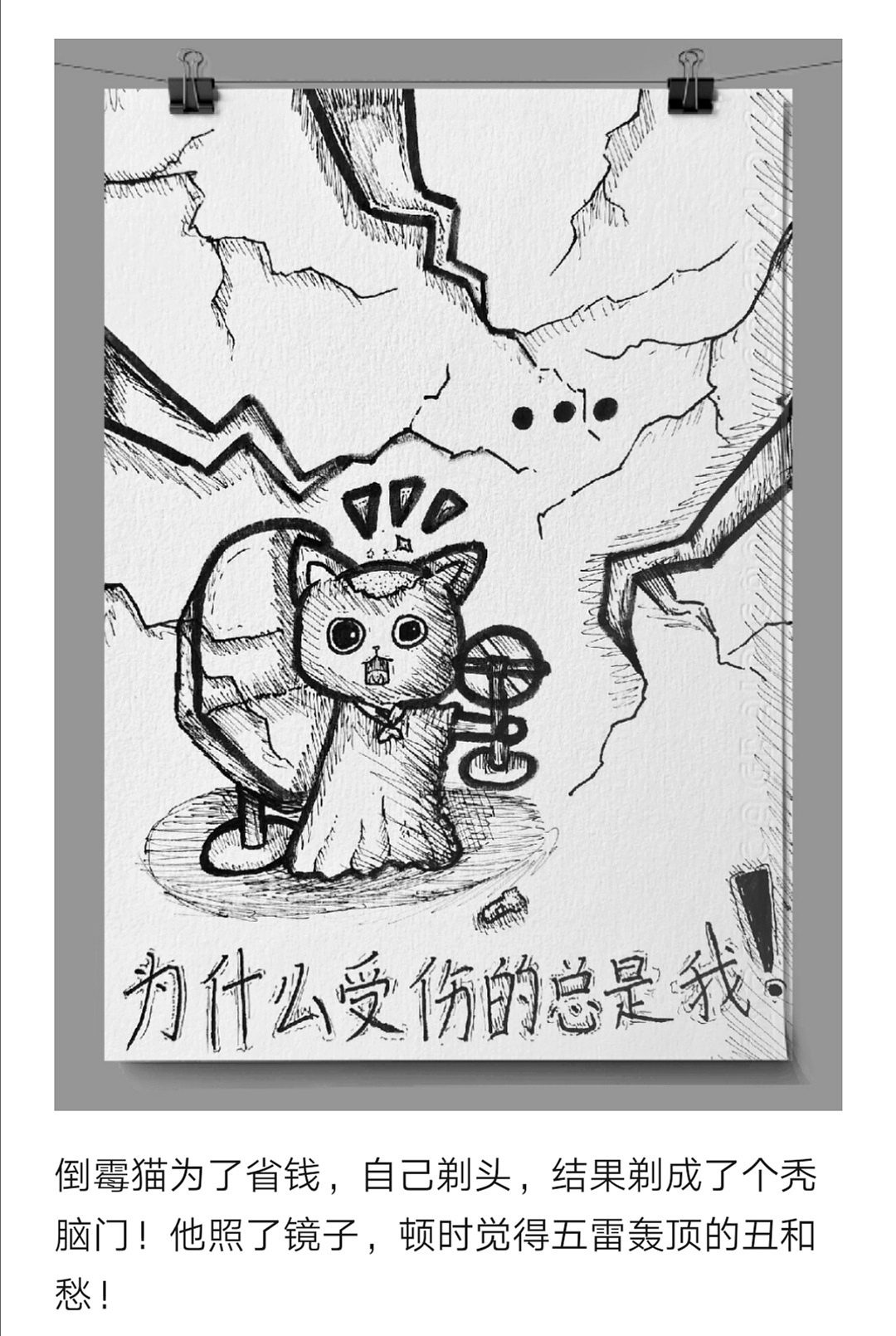 8岁插画师原创《倒霉猫》