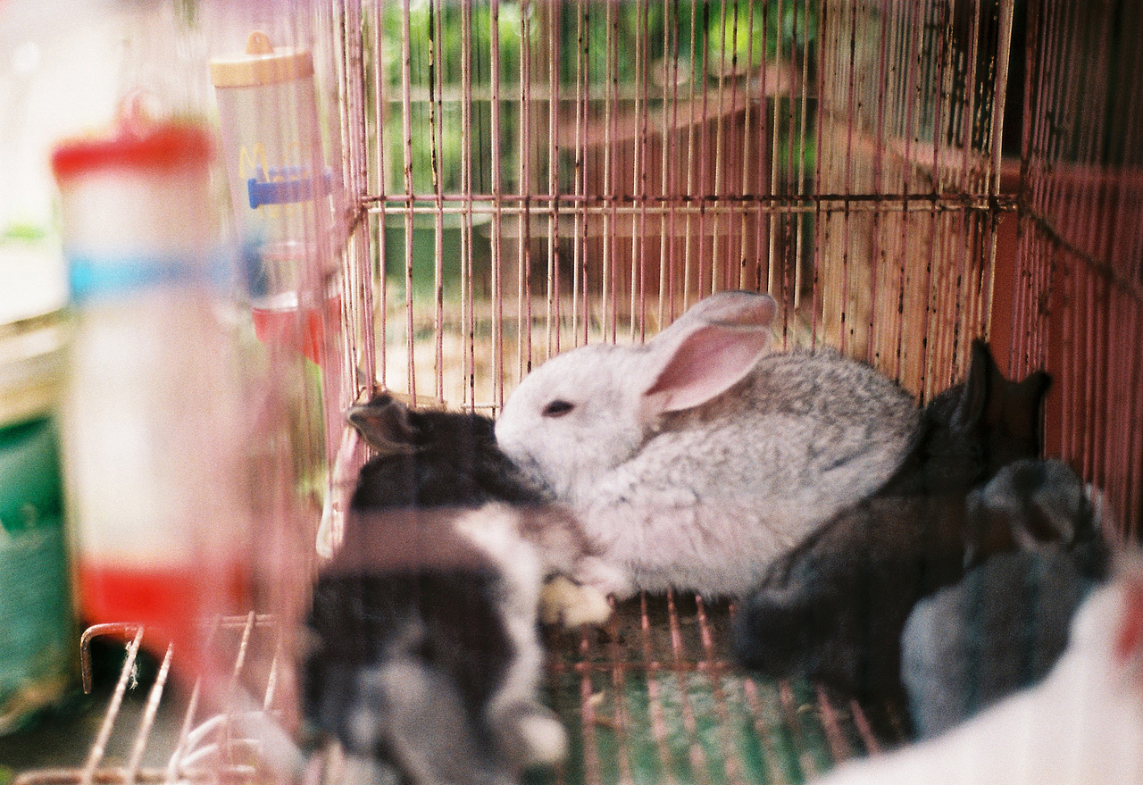 吴熙玮和他的胶片