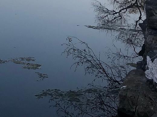 美景