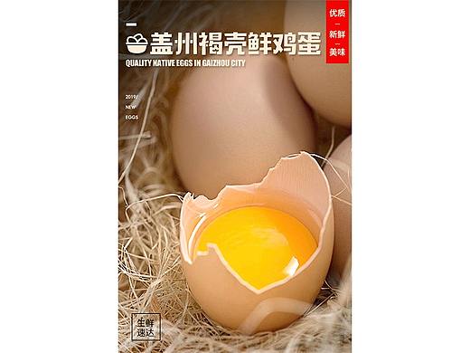 永辉农副产品项目-盖州市康平褐壳鸡蛋