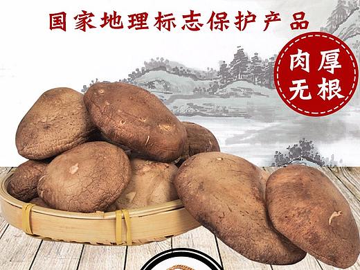 西峡香菇南阳淘邦拍摄产品图片制作淘宝拼多多详情页