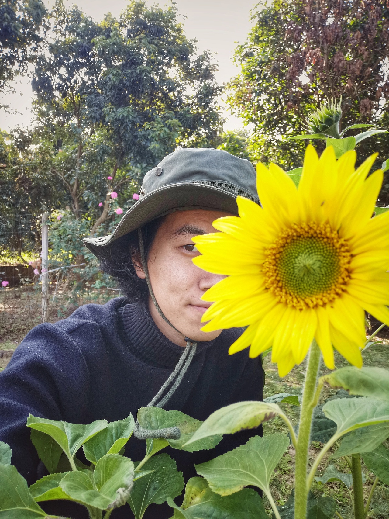 向日葵已开（图ZMjg0NDk1MTYw） - 风光摄影 - 站酷设计师治愈的花园原创素材 - 站酷ZCOOL