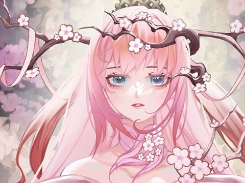 新老婆