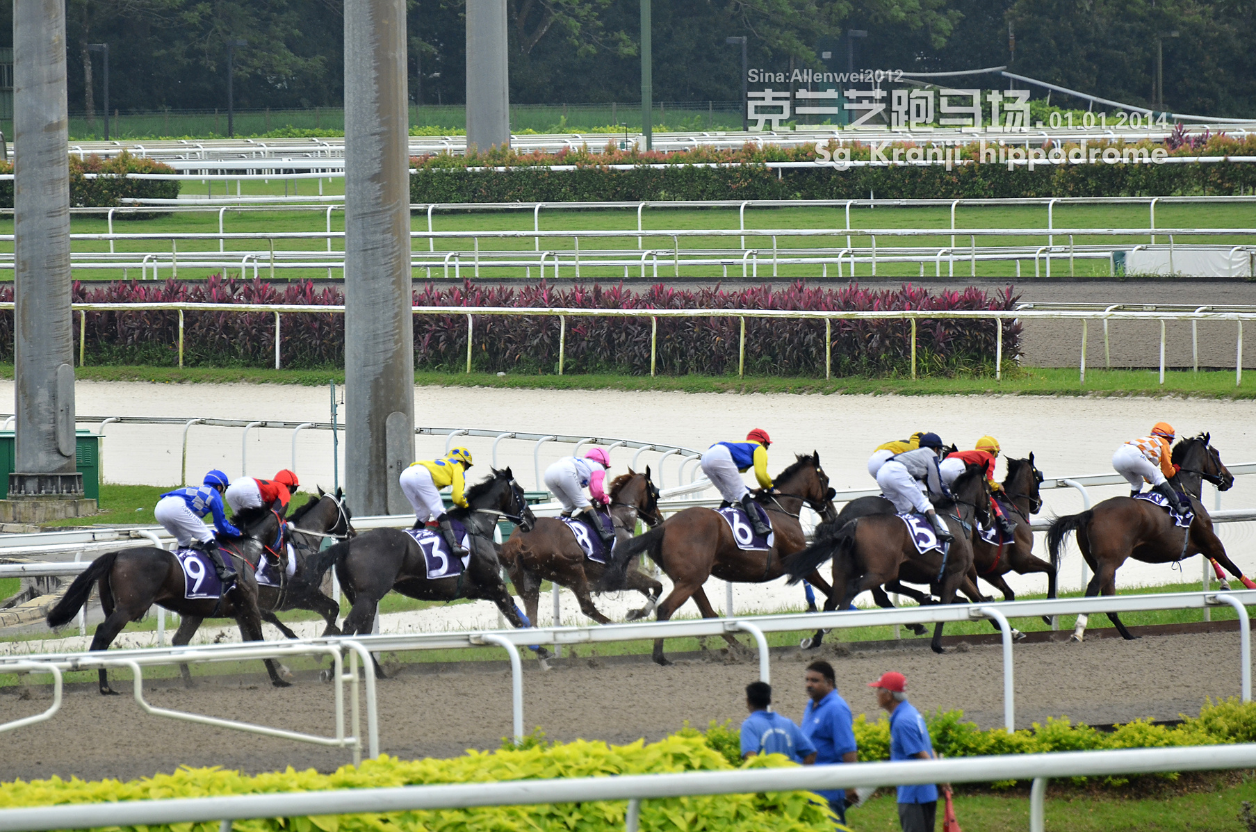 克兰芝跑马场-新加坡