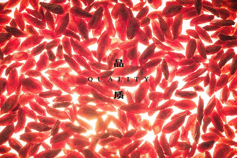 蜥奎设计∴西藏枸杞