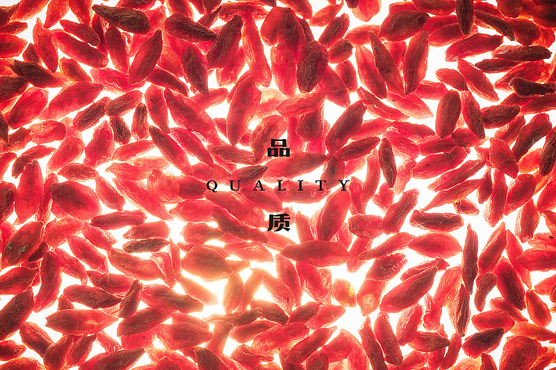 蜥奎设计∴西藏枸杞