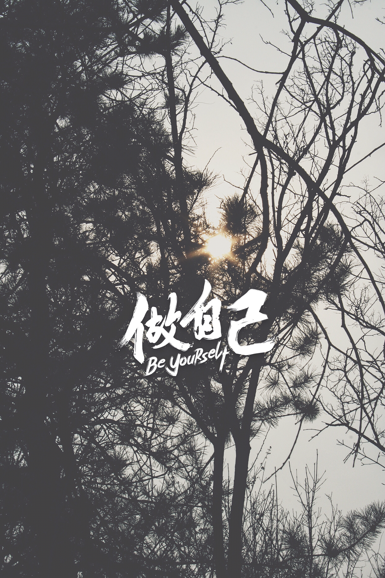 午休公园转一圈