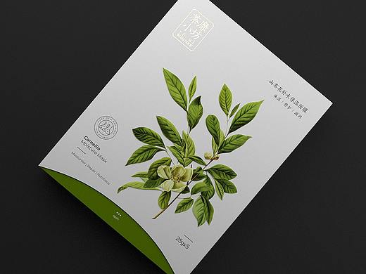 植物 草本 面膜包装设计