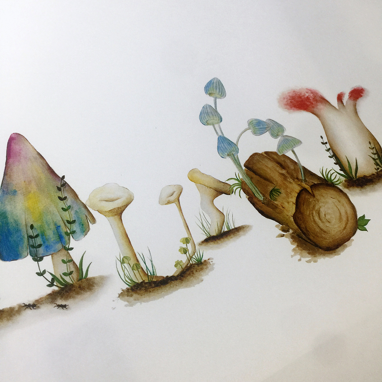 字体设计 mushroom🍄（图ZMTU3Nzg4MzAw） - 创作习作 - 站酷设计师是叉子原创素材 - 站酷ZCOOL
