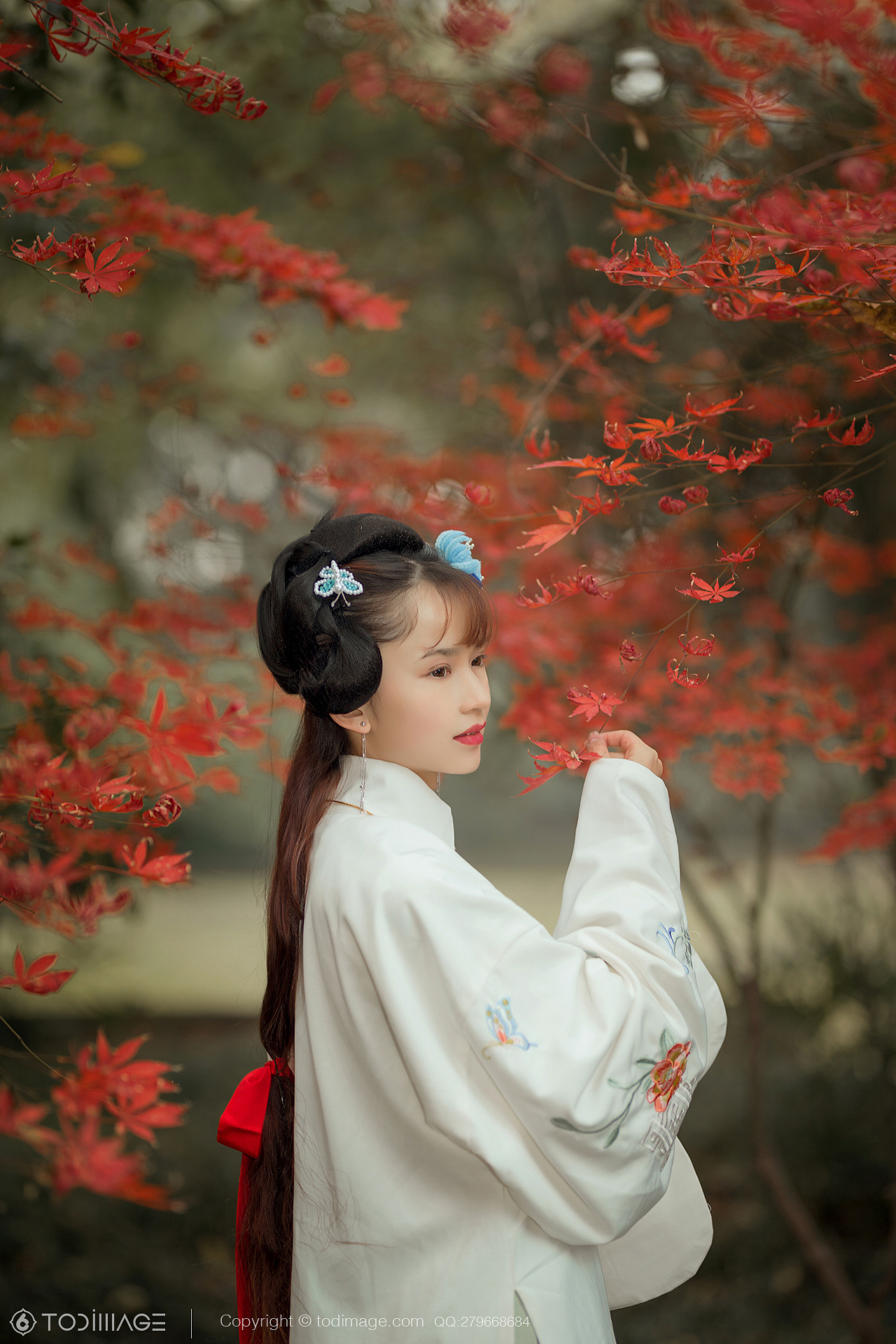 古风人像《阅秋图》