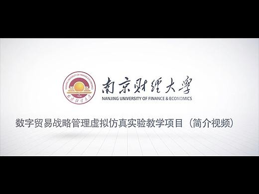 （南京财经大学）教学项目简介视频