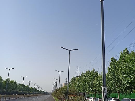 特色双臂回纹路灯-回纹造型双臂灯-世博光电生产厂家