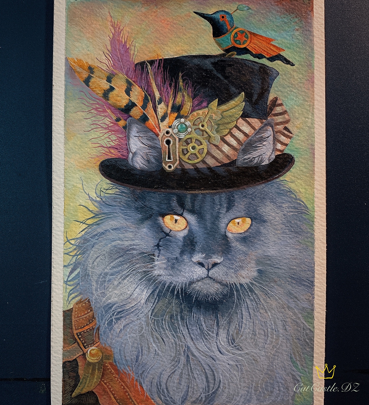 灵羽朋克缅因猫