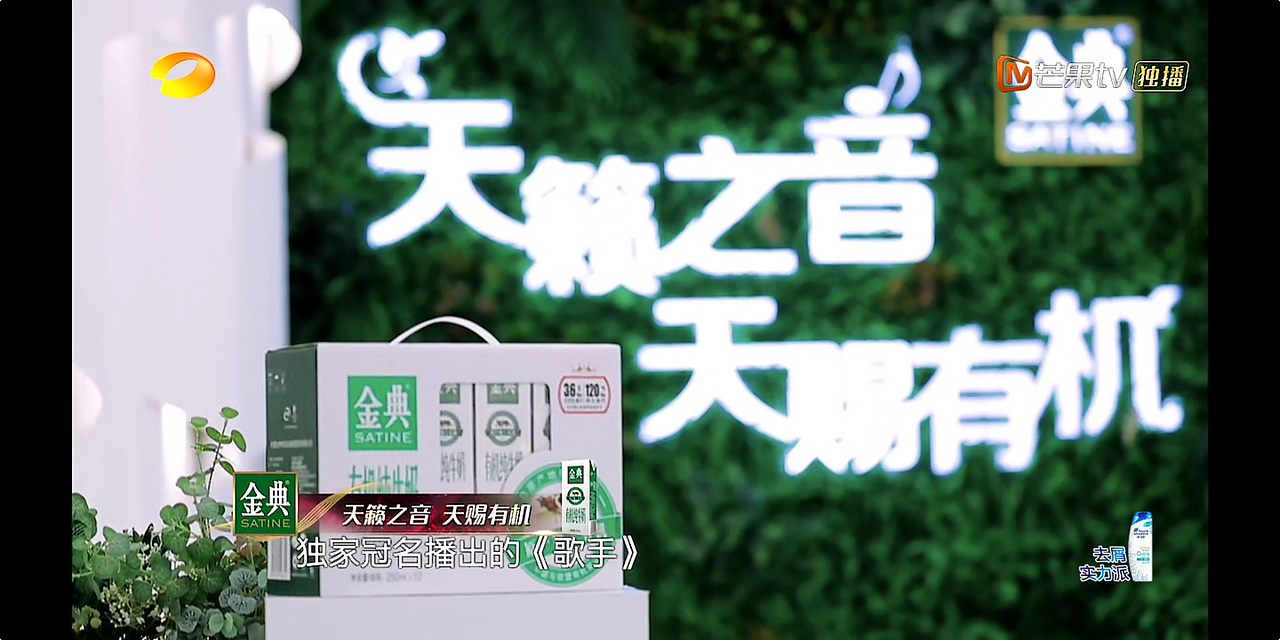 歌手1（图ZMTQzOTI2OTky） - 栏目片头 - 站酷设计师王大毛毛原创素材 - 站酷ZCOOL