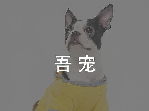 吾宠（个人主页-ZNTEzNTQ4OTY=） - APP界面 - 站酷设计师爆米花Bazinga原创素材 - 站酷ZCOOL