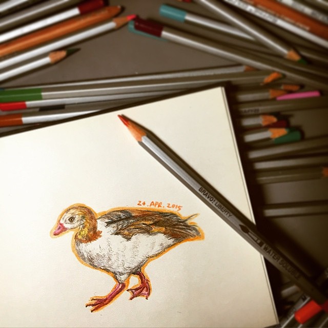 十分钟彩铅速画练习（图ZMjc0Mjg4Mjg=） - 儿童插画 - 站酷设计师Jialovescats原创素材 - 站酷ZCOOL
