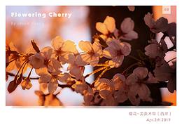 生活中不经意的小确幸