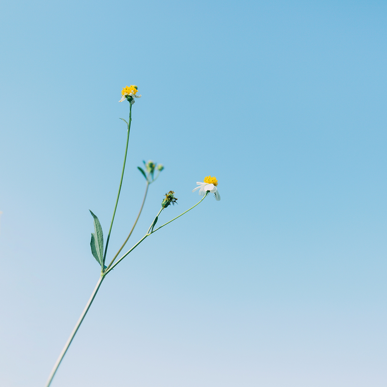 怎么去拥有一道彩虹