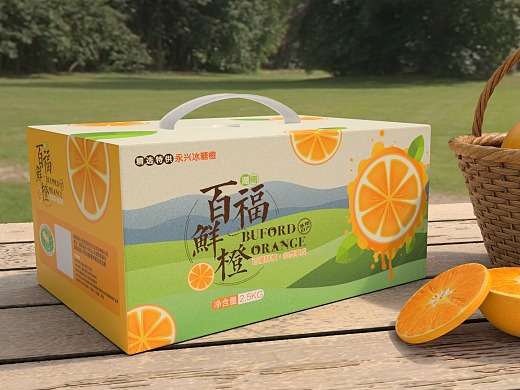 永兴冰糖橙包装设计