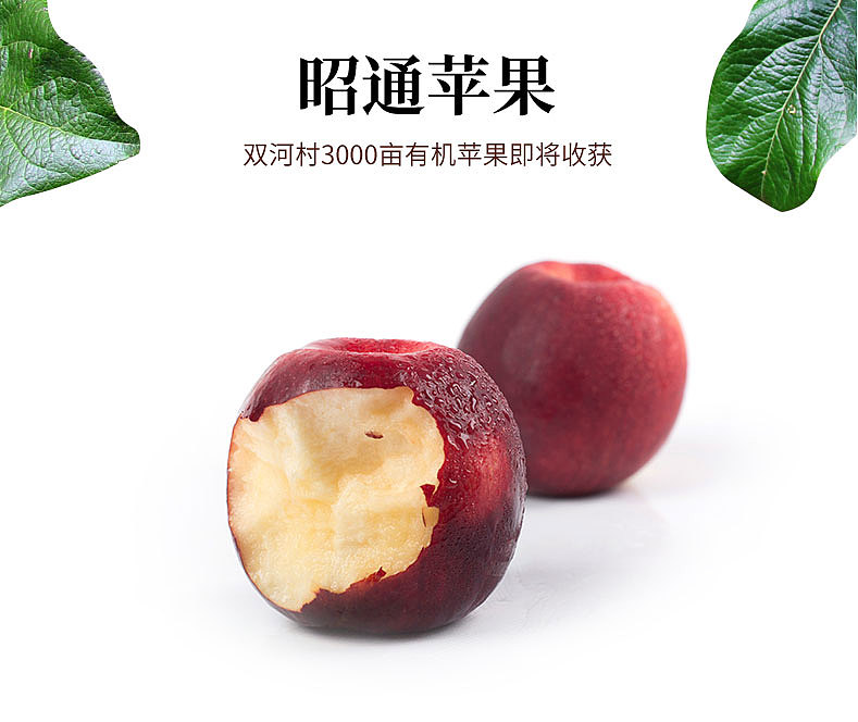 昭通苹果众筹详情页设计