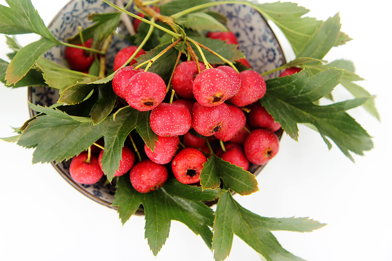 甜红子（新鲜小红星甜山楂拍摄）（图ZMTk4NTYxMjM2） - 产品摄影 - 站酷设计师pp1111原创素材 - 站酷ZCOOL